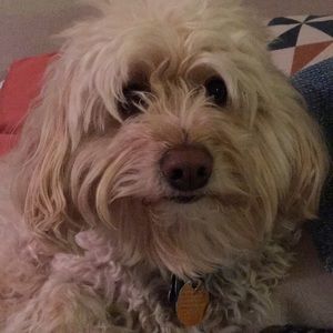 Meet your Posher, Katherine